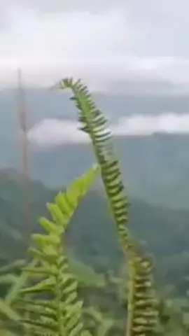 #หลงทางมาเที่ยว #เที่ยวให้สนุก #เพลงลงสตอรี่ #❤️❤️❤️ 