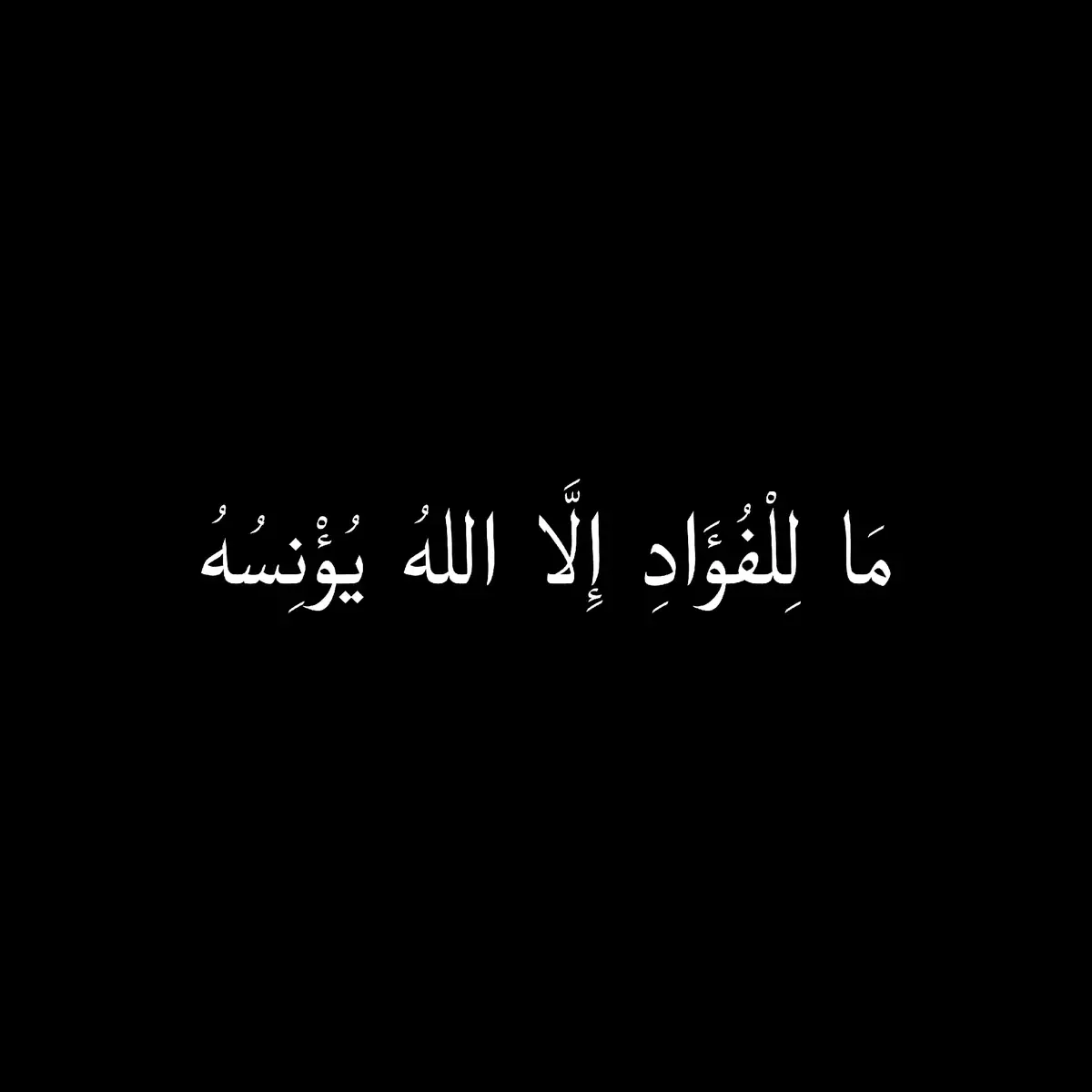 #اكسبلور #شعراء_وذواقين_الشعر_الشعبي #fyyyyyyyyyyyyyyyy #شعراء #foryoupag #fyp #ذواقين__الشعر_الشعبي #fyp #فصحى_العرب #فصحى #explore #شعر #شعر_ #viral #fypツ #شعر_فصيح #كتابات_بالفصحى #foryou 