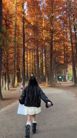 Nhật Bản những ngày cuối thu 🍂 #japan #saitam #autumn #fyp #viral #別所沼公園 