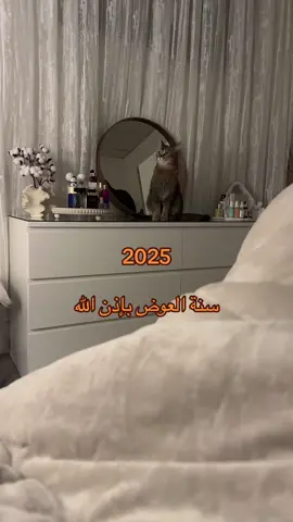 #foryoupage #fypシ #اكسبلور #foryouy #fypシ゚viral #fypシ゚viralf #foryou 