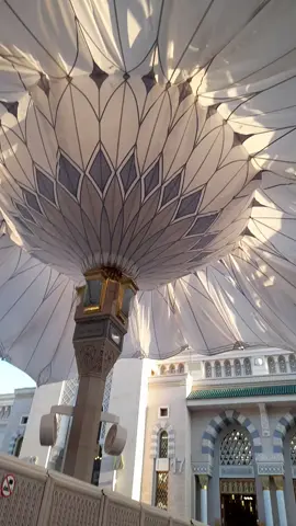 #عليه_افضل_الصلاه_والسلام  #المدينة_المنورة  #الشيخ_بدر_المشاري 
