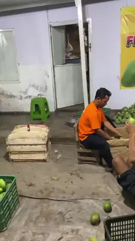 Jam malam🥭✈️ #fypシ #foryoupage #adbuahmangga #situbondojawatimur #freshmango 
