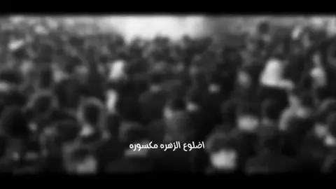 اضلوع الزهـره مكسورة 💔  #تصميم_فيديوهات🎶🎤🎬  #تصاميم_حسينيه  #موكب_الاحزان  #فاضل_عواد_السماوي #امجد_كريدي 