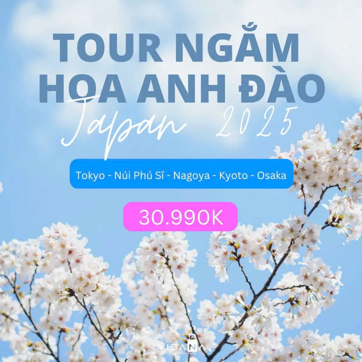 #visana #xuhuong #tournhatban #nhatban #dulichnhatban 