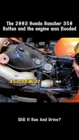Will It Run Honda Rancher 350 Rotten?#restoration #recovery #willitrun #old #engine #tractor #truck #repair #tiktok #fyp 