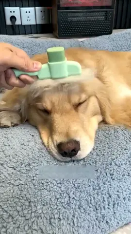 One-touch press floating hair comb really well, get yours👆 #goodies #dog #pet #fyp 