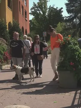 #bushman #bushmanprank #bushmanpranks #scary #funny #prank #funnyvideos😂 #scareprank #hashtag 