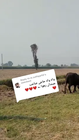 Replying to @m.zulfiqar92 