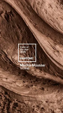 Introducing Pantone Color of the Year 2025: PANTONE 17-1230 Mocha Mousse☕️🍫 An evocative soft brown that transports our senses into the pleasure and deliciousness it inspires as the Pantone Color of the Year selection for 2025. A warming rich brown hue, PANTONE 17-1230 Mocha Mouse nurtures with its suggestion of the delectable quality of cacao, chocolate and coffee, appealing to our desire for comfort.   Infused with subtle elegance and earthy refinement, PANTONE 17-1230 Mocha Mousse presents a discrete and tasteful touch of glamour. A flavorful brown shade, PANTONE 17-1230  Mocha Mousse envelopes us with its sensorial warmth. Learn more about PANTONE 17-1230 Mocha Mousse in our link in our bio. #pantone. #pantonecoloroftheyear #mochamousse 