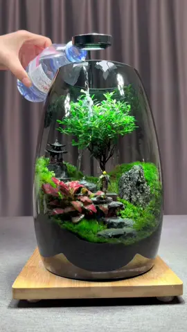 Do you want a desktop micro-landscape?#foryou #foryoupage #nature #moss #Micro 