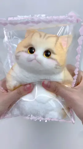 FUFUSQUISHY ASMR 😸😸Big Yellow Giant Cat