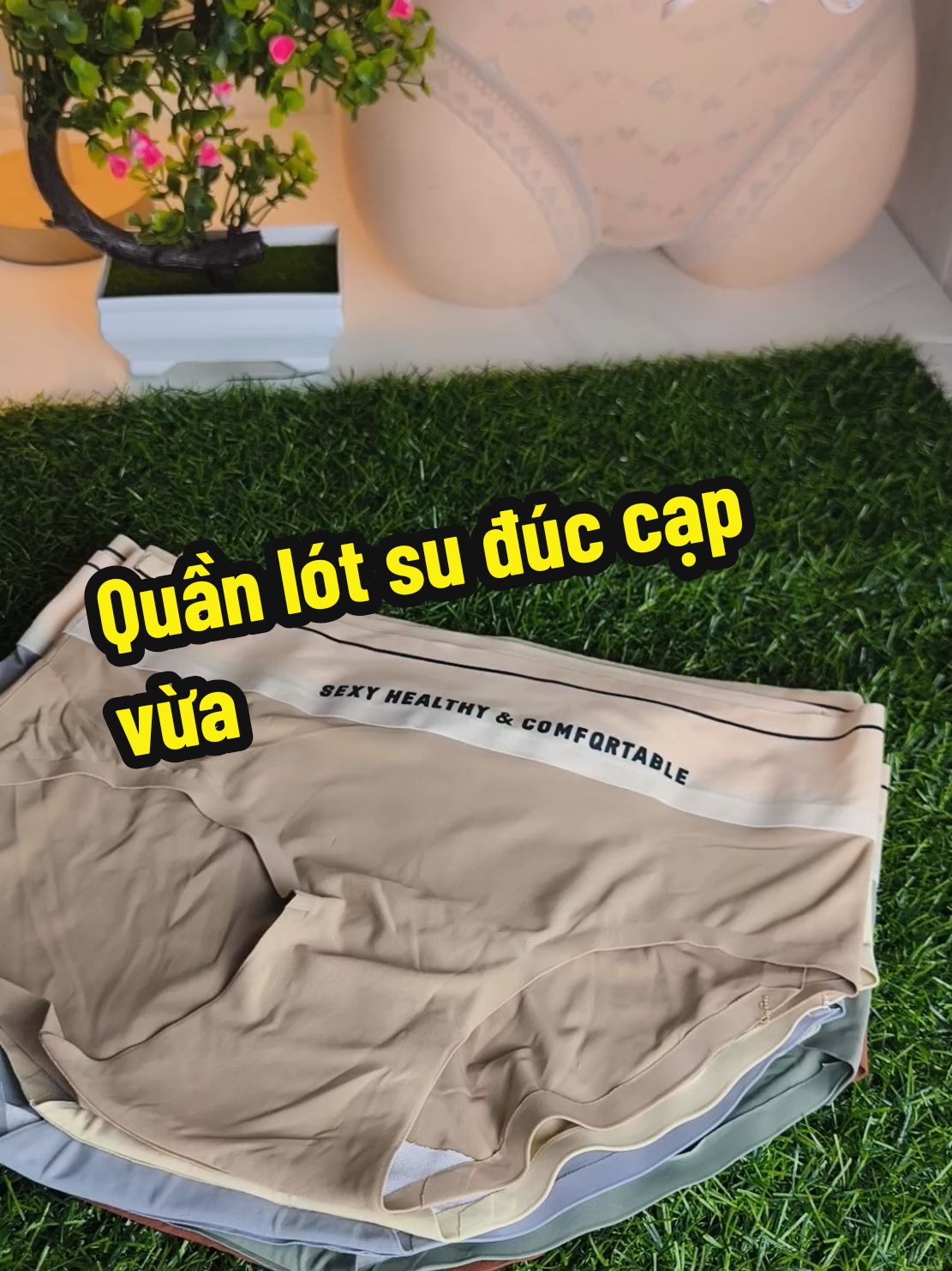 Quần lót su đúc cạp vừa cao cấp #setquanlot #quanlotcute #noiy #dolot #noiynu #setquanlot #xuhuongtiktok #quanlotkhongduongmay #quanlotsuduc #quanlotcaocap 