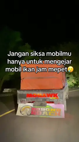 #otoikanflores #mobilikanbalap #otoikanomongkosong #santememang😁🤙 #fpytiktok #nttpride🏝🔥 @GBR 