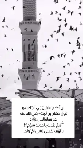 #من أعظم ما قيلَ فِي الرثاء: هو قول حسّان بن ثابت رضي الله عنه#_بعد_وفاة_النبي_ﷺ#اللهُم_صلِ_و_سلم_على_نبينا_مُحمد.🍃🌸   #يوم_الجمعة #قرآن #سورة_الكهف