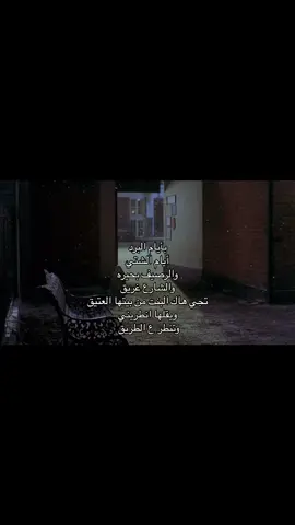 🧐🧐 #fyp #بارده #foryou #فيروز #ايام_البرد_ايام_الشتي #explore 