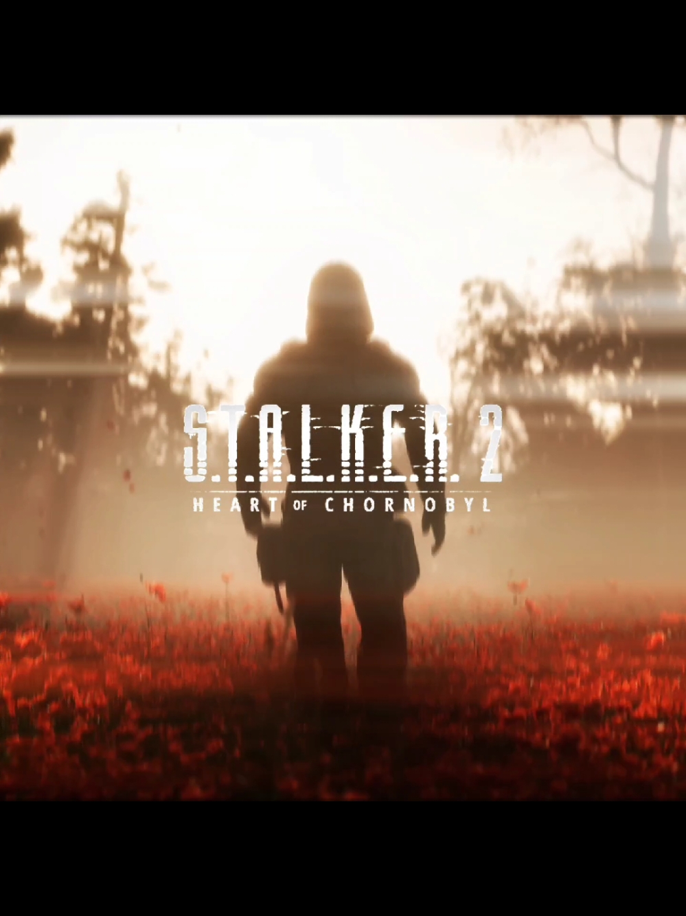 Разогреем душу - STALKER 2: Heart of Chernobyl || #stalker #stalker2 #сталкер #сталкер2 #stalkershadowofchernobyl #game #edit #music #song #vibe #gsc #trending #viral #fyp #foryoupage #sky_reagan 