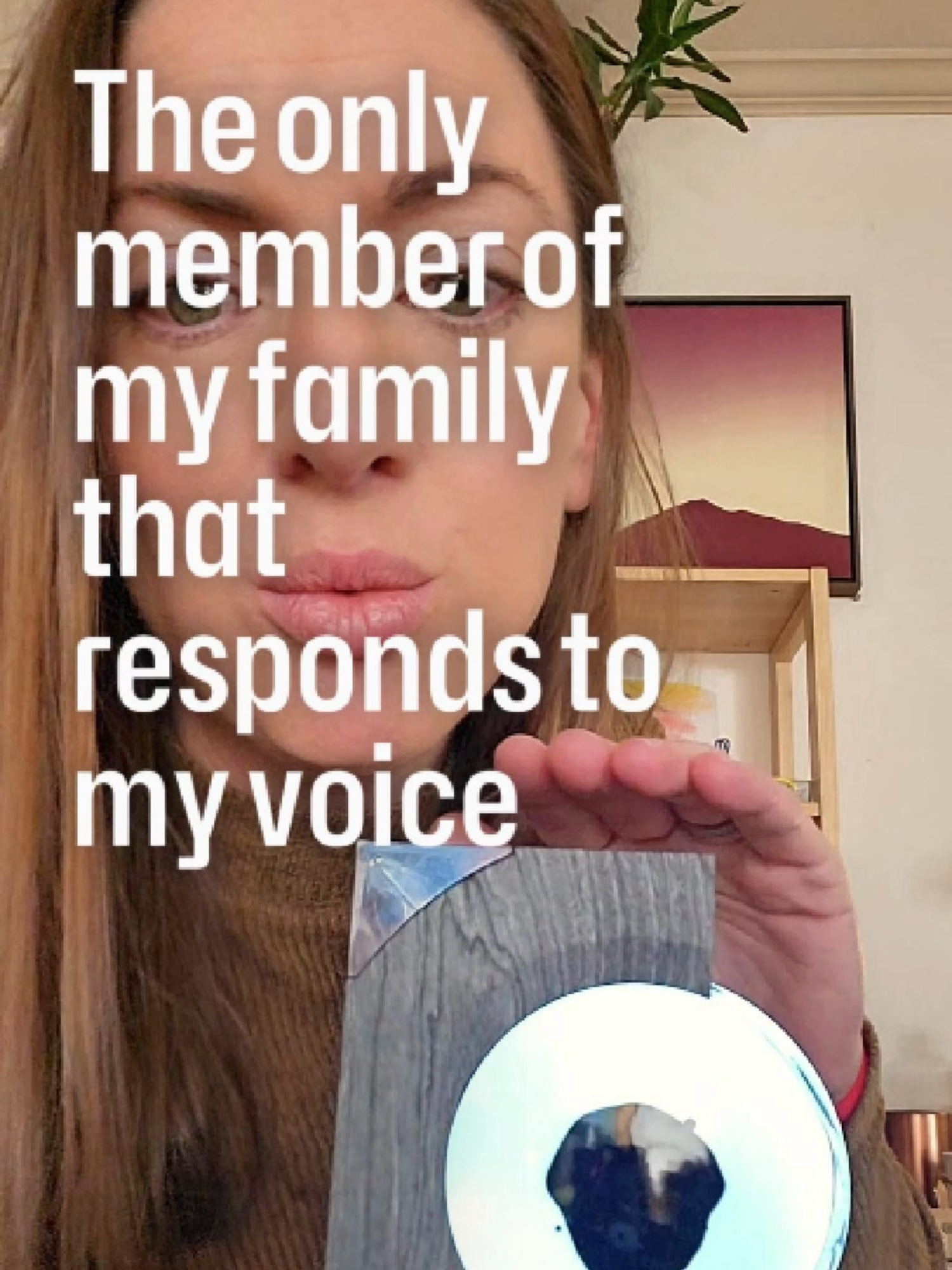 Ferrofluid is the only thing in my house that responds to my voice  #holidaygifts #ttsdelightnow #ferrofluid #scienceathome #scienceismagic #tiktokshopholidaydeals #christmas2024 #giftguide #tiktokmademebuyit #tiktokshopcybermonday #giftsforhim #giftsforher #over40club #neurospicy #zoneout #chillhop #lofihiphop #speaker #desksetup #deskdecor #officedecor #deskaccessories