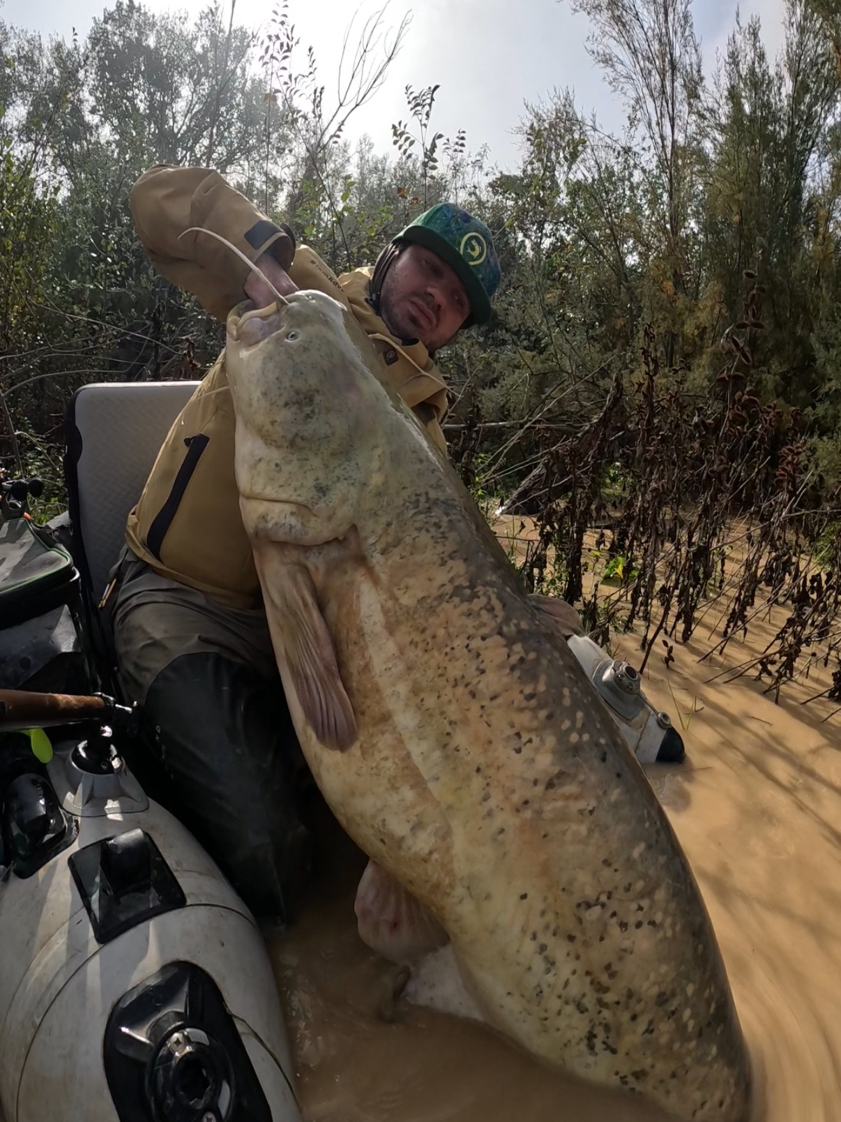 #fishing #pesca #wędkarstwo #catfish #siluro #sum #bigfish 