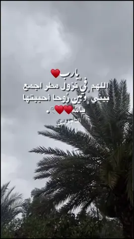 يارب فإن طال غيابها❤️💔 #يارب❤️ #يارب_دعوتك_فأستجب_لي_دعائي 