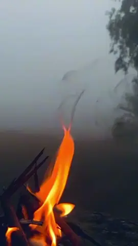 اور پھر مخلص ہونا دنیا کا سب سے پر کشش جزبہ ہیں 🙂🙂