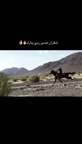 #خيل_وخياله🐎 #خيل_عربي_اصيل #خيل_سباقات✈️🔥 #اكسبلور #اكسبلورexplore #ترند #سباقات_الخيل 