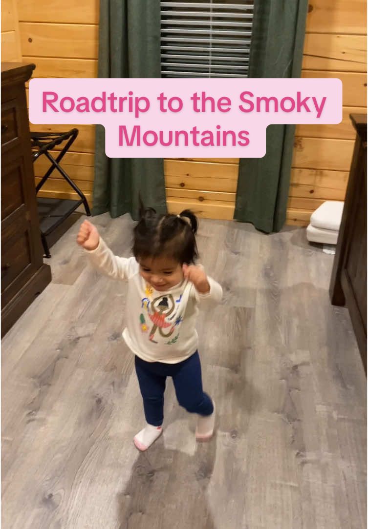 Roadtrip from Indiana to Tennessee 🚙⛰️🐻 #smokymountains #thegreatsmokymountains #pigeonforge #tennessee #gatlinburg #familyvacation #cabin #familycabin 
