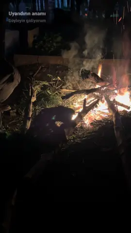 25.11 #cizre #asrimezarlık