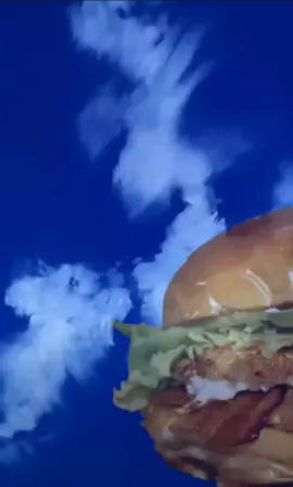 Peça o nosso delivery em São João da Boa Vista, acesse nosso Instagram na bio!🍔 #fy #hamburger #evangelion #sjbv #comida #anime #animeedit #nerv #viral #reiayanami #salpimenta #evangelionedit 