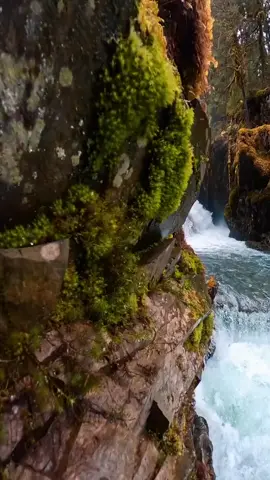 مناظر طبيعية خلابة 4K فيديوهات  #water  #creatorinsights #livefest2024 #livefest2025 #water #relaxing #أسد_الجزائر🇩🇿 