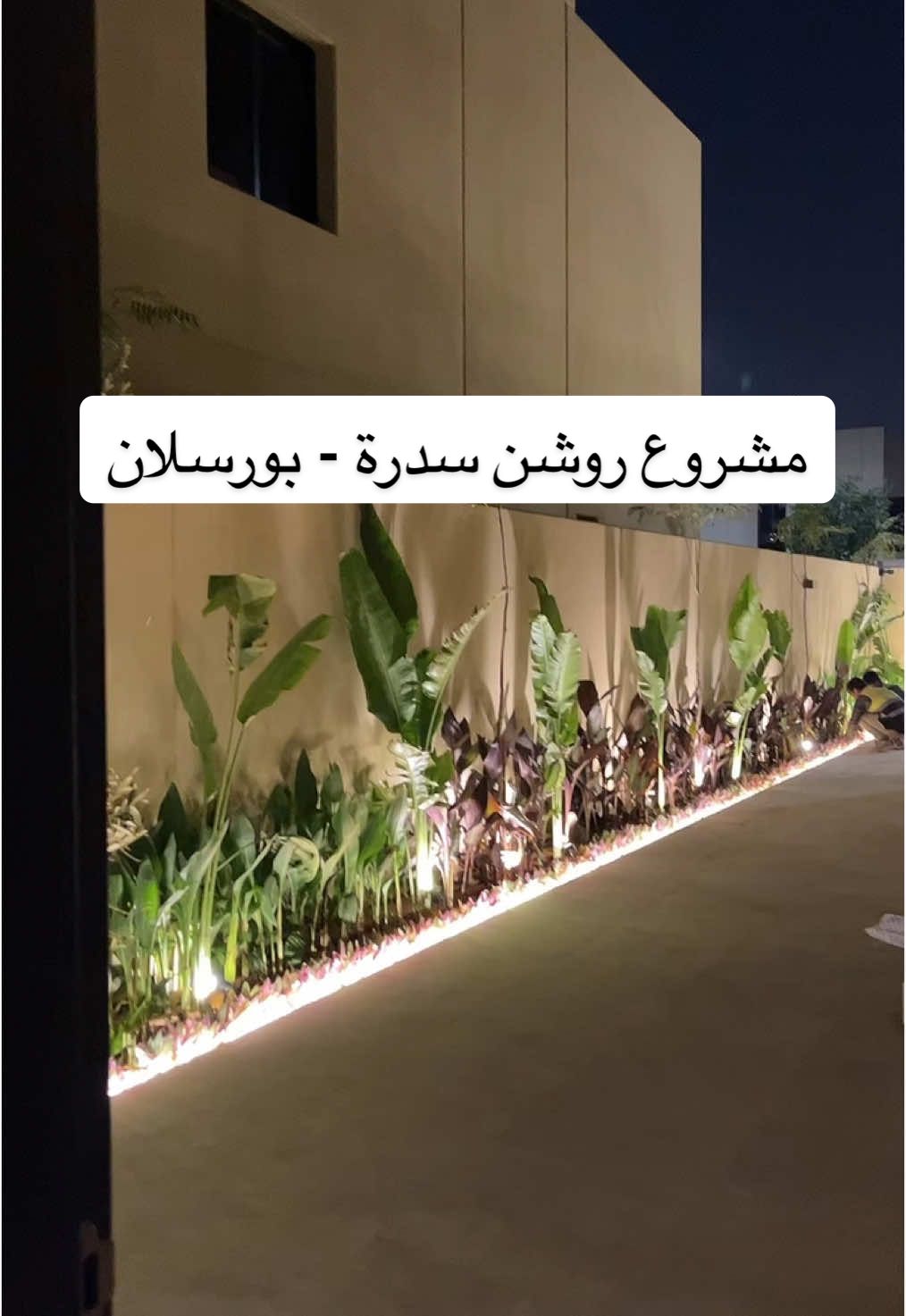 الله يبارك لهم يارب #لاندسكيب #حديقة #روشن_بورسلان 