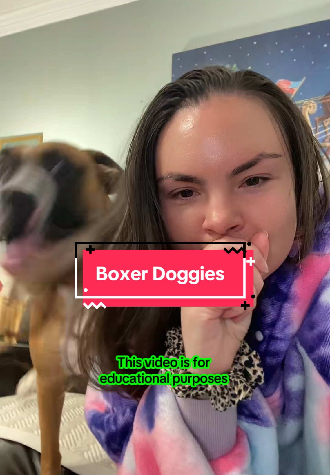 Y’all these are some other sittees! Willa and Gracie and they will lick you to 💀#petsitterlife #petsittersoftiktok #boxersoftiktok #boxerdog #dogsitting #dogsitterlife 