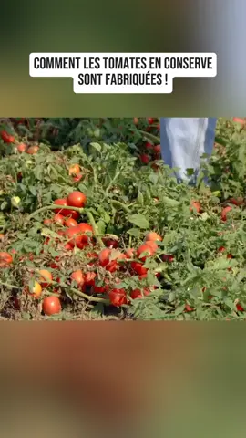 #pourtoii #fabrication 