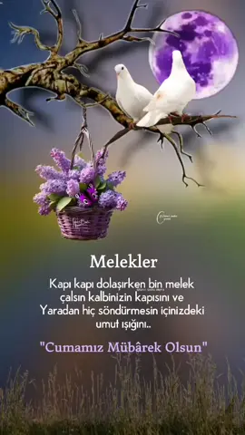 •| Allah'ım Öyle Bir CUMA olsun ki ; Affolunmayan KUL, Kabul Olunmayan DUA, Şifa bulmayan HASTA, Huzur bulmayan KALP,  Kalmasın...🤲🏾  Hepimiz için 