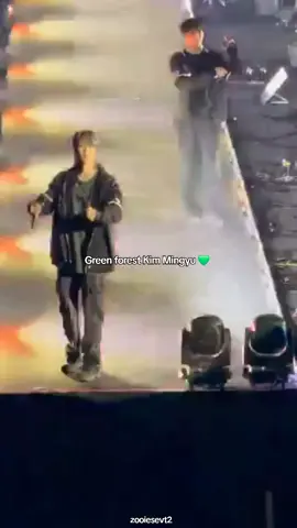 Oh my God, I just found another fancam where Mingyu hides to surprise Carats and then sends flying kisses! but is he hiding also from the members 🤣 seungkwan insomnia 4🤭 i love him he such a Green forest 💚 he's such a babie 🫂  #민규 #세븐틴 #mingyu 