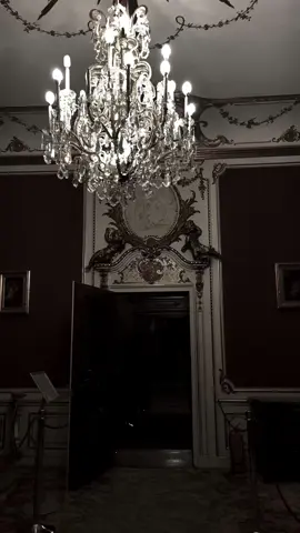 🎻 #baroque #victorian #vampirecore #vampire #darkacademia #castle #antique #aesthetic #darkaesthetic #fyp
