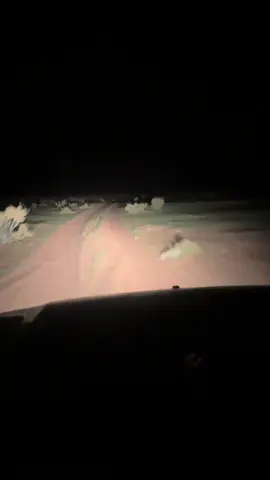 #اكسبلور_ #اكسبلور_ 