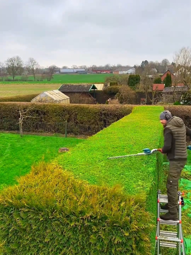 Posting work we all love 🧑‍🌾🫶🙌 #garden #landscaping #trimming #yardwork #satisfyningvideos #hedges 