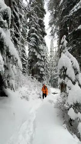 Found the perfect winter boots! ft. @HOKA 🥾 The HOKA Kaha 2 Frost Gore-Tex are amazing for hiking, offering great grip on wet, snowy, or rocky trails. If you need a new pair of boots this winter, check these out - you’ll thank me later! For a more everyday option, try the Moc version- they’re perfect for everything from running errands to relaxing by the campfire. #ad 