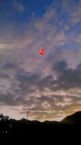 Le pregunté @HEREDERO #carranga #herederocarranga #lepregunté #musica #boyaca #viraltiktokvideo #contenido #fyp #foryoupage❤️❤️ #colombia 