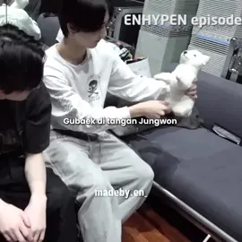 selamatkan gubaek dari tangan bocah bocah ini😭 #enhypen #illit 