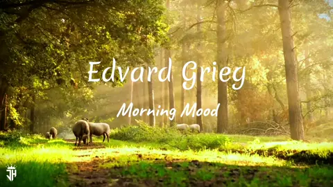 Buổi sáng vui vẻ😊 #fypシ゚viral #music #morningmood #xhtiktok 