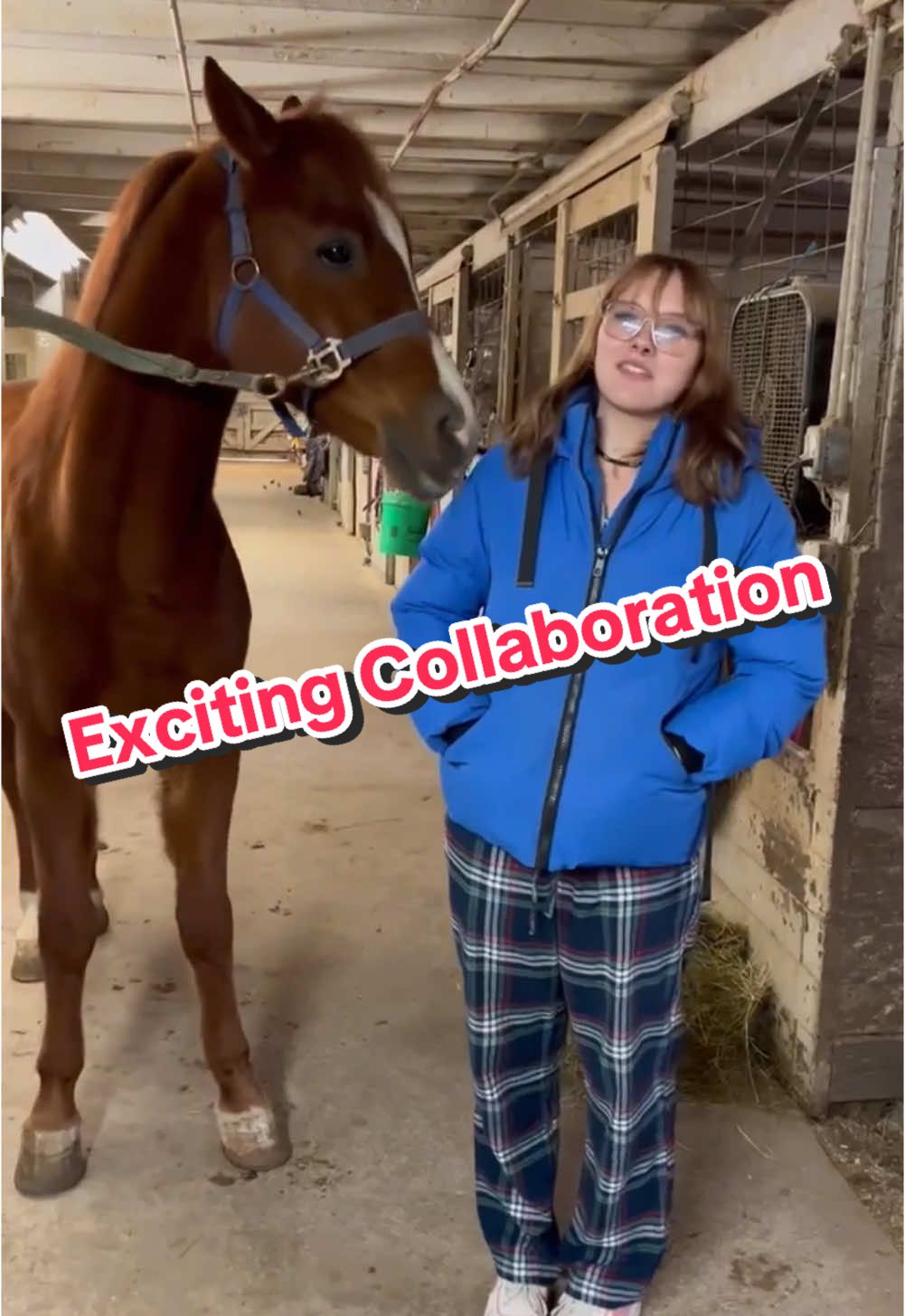 We are so excited for this collaboration with @Simply Nobles! Mayzee loves the ice cream cones and cant wait to share them with her horses! #fyp #horse #barnlifeisthebestlife #horsesoftiktok #viral 