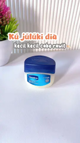 Kecil kecil cabe rawit  #vaselinepetroleumjelly #pelembabmultifungsi #vaseline #affiliatemarketing #affiliatetiktok #viralditiktok🔥 #desemberceria #pemulaaffiliate #fyp 
