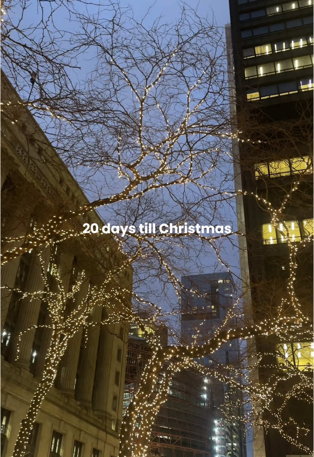 happy vlogmas day 5! #december #countdowntochristmas #Vlogmas #christmas #dailyvlog #chicago 