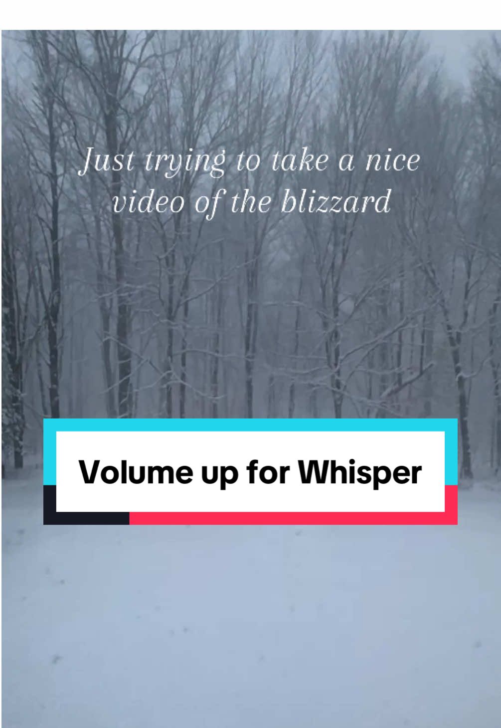 Just having a peaceful blizzard moment when… #whisper #blizzard #fart #farts #fartsarefunny #funnyvideo #funnymoments 