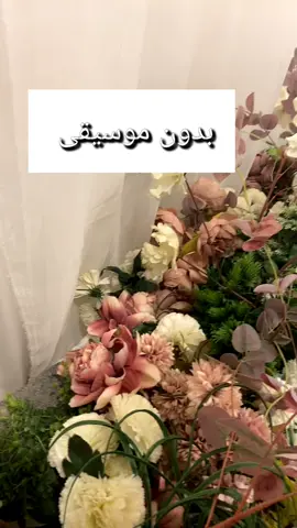 #اكسبلورexplore #فرقة ليالي الوناسة #فرقه 