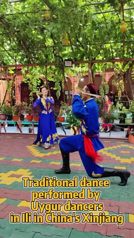Amazing traditional dance performed by Uygur dancers in Ili, northwest China's Xinjiang #Uygur #Xinjiang #dance #XinjiangAlwaysMoreToDiscover