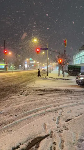Snowing in Toronto #snow #winter #Toronto #beautiful #night 