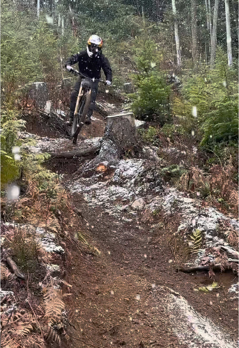 Pow day!  @Red Bull Canada 