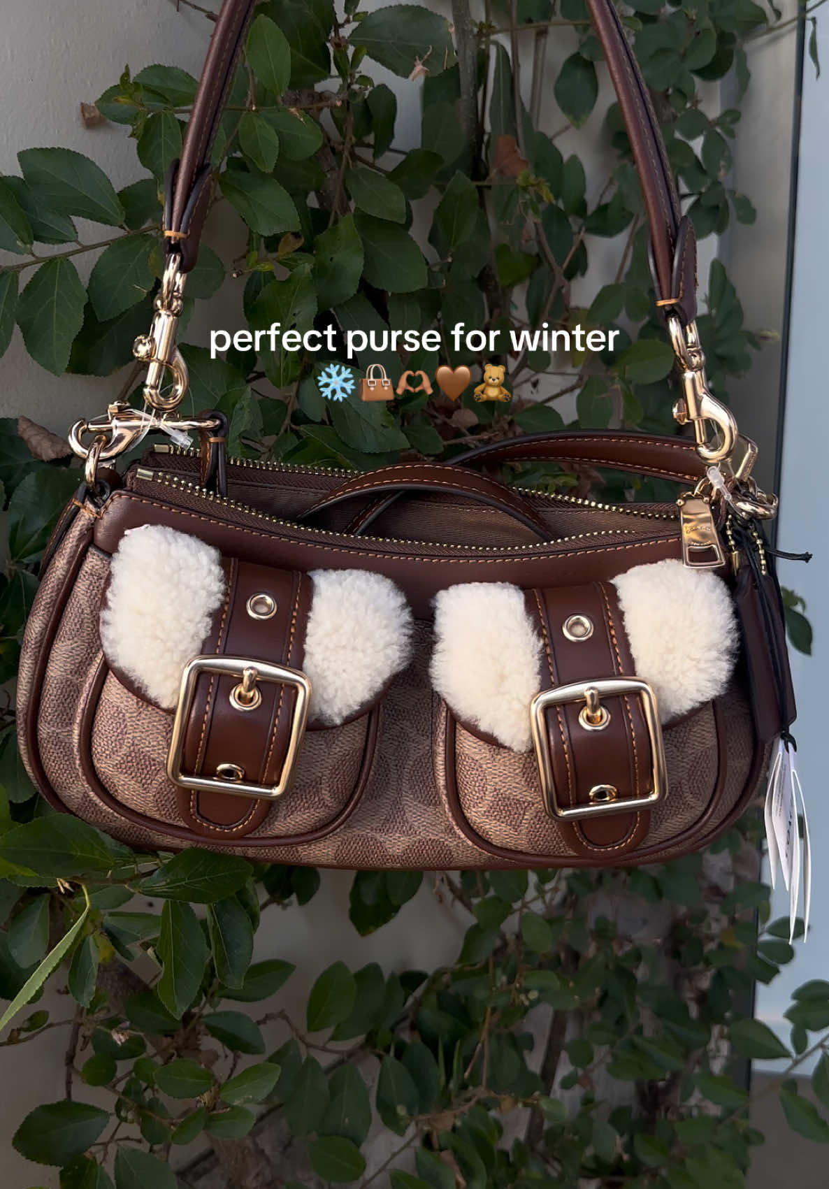 obsessed🤎 @Coach #ashtonbaguettecoach #coach #coachbag #pursecollection #fypシ 